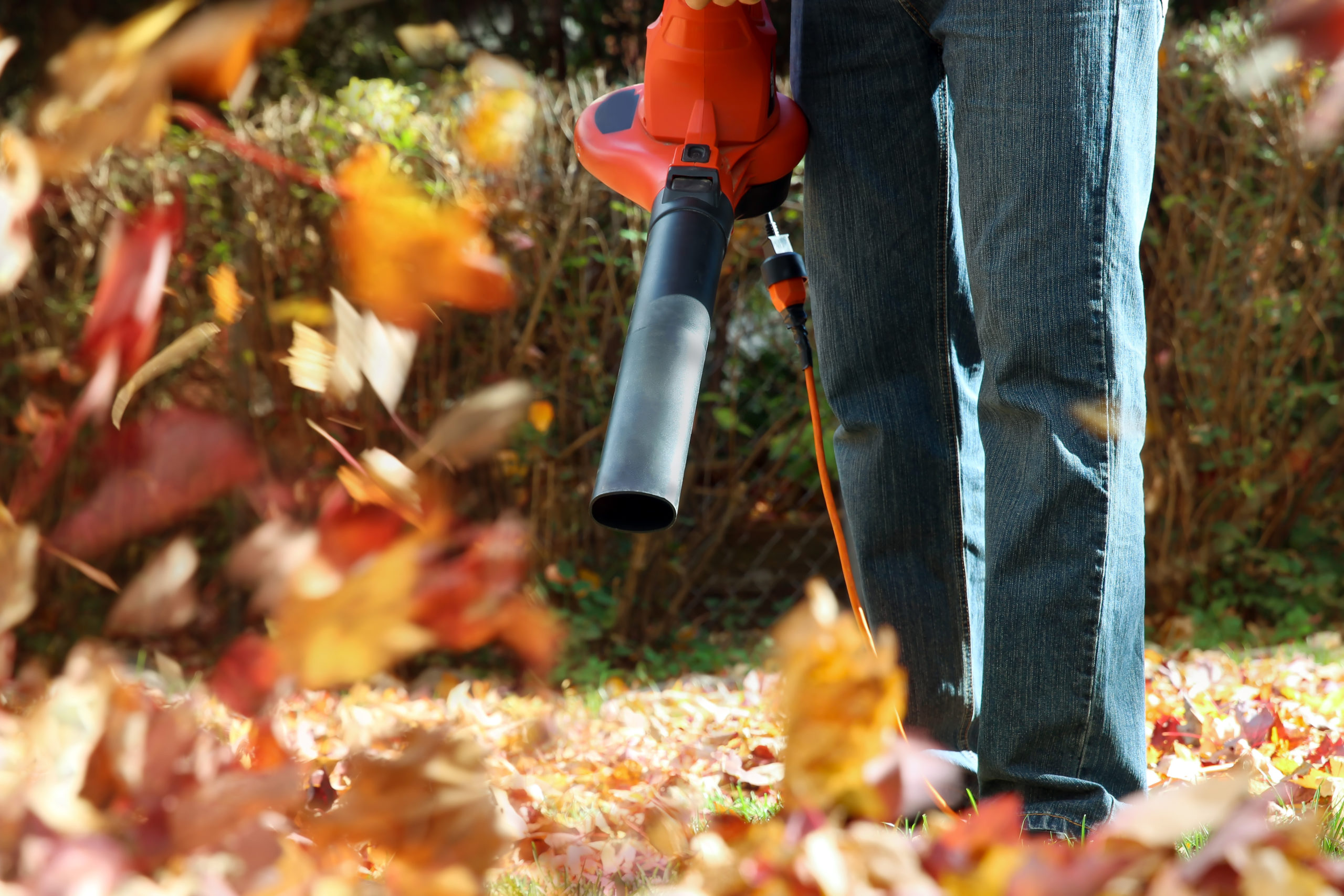 Image for Fall Cleanup and Leaf Removal page for J & J Landscaping, LLC