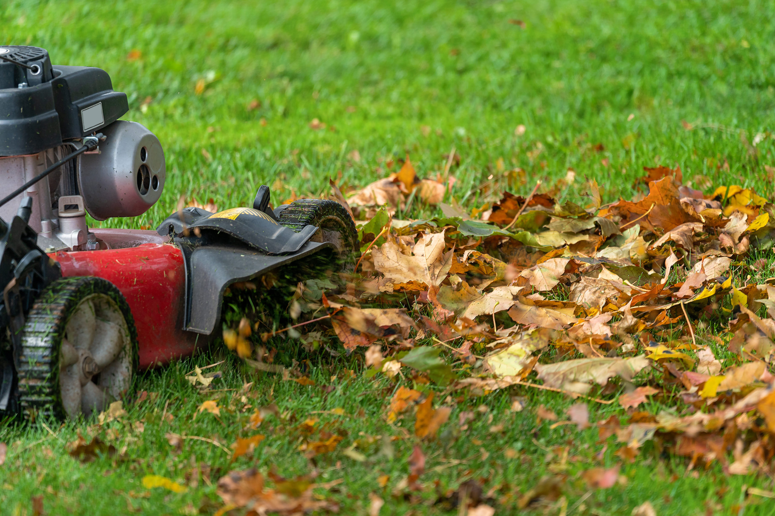 Image for Fall Cleanup and Leaf Removal page for J & J Landscaping, LLC