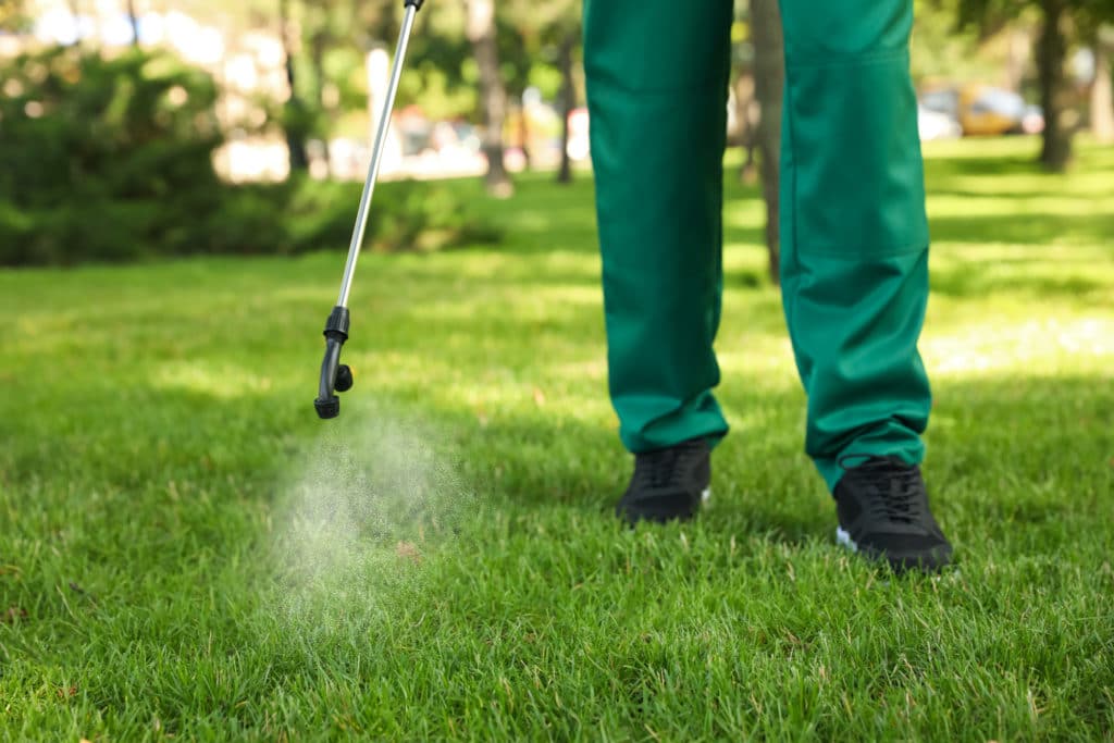 Image of landscaper spraying lawn for pests / weeds for J & J Landscaping, LLC